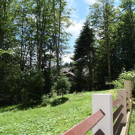 Alpin Residence ซินายา ภายนอก รูปภาพ