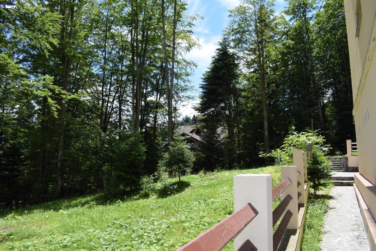 Alpin Residence ซินายา ภายนอก รูปภาพ