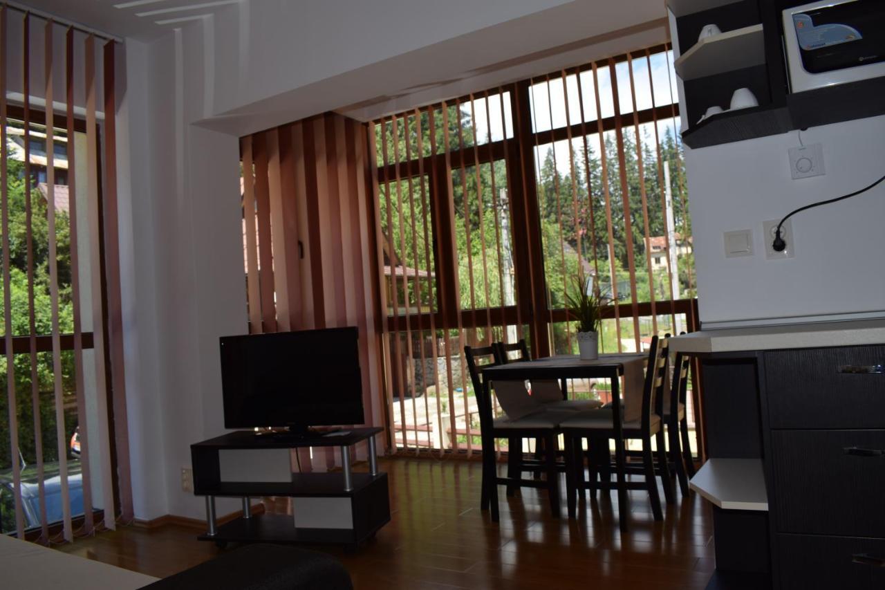 Alpin Residence ซินายา ภายนอก รูปภาพ